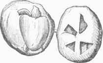 Silver Coin of Aegina, First Period.