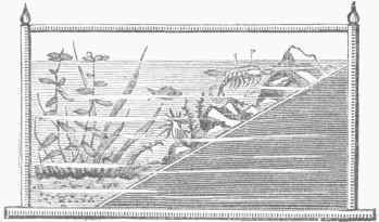 Marine Tank, Side View.