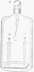 Comparison Of Different Metals In The Presence Of  700233