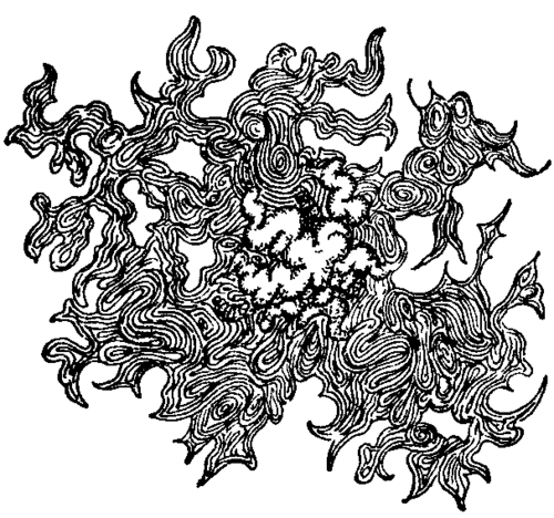 Fig. 21. Colony of Bacillus Proteus.