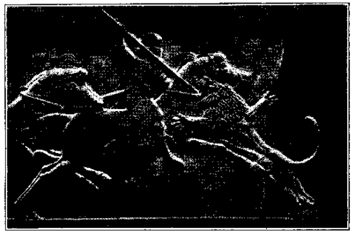 Relief representing Assur bani pal spearing a Lion.