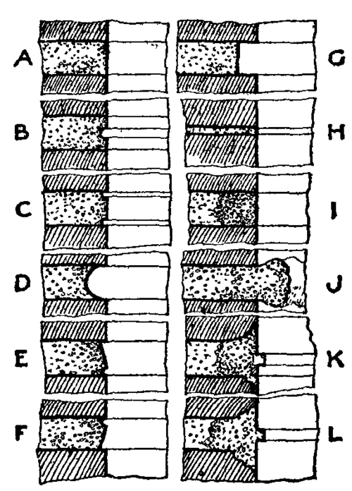 Fig. 3.  Forms of Joints.