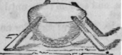 Beetle Traps 35