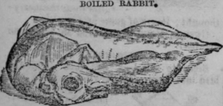Boiled Tongue 458