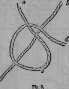 Knots 3