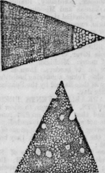 Microscope 160