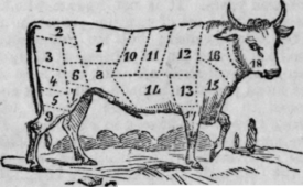 Names Of The Various Parts In Animals 102