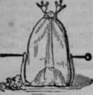 Partridge 468