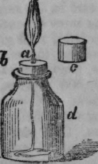 Practical Science 264
