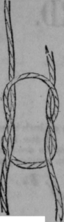 Reef Knots 4