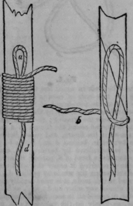 Reef Knots 5
