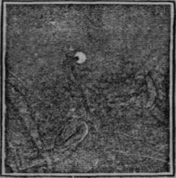 The Stereoscope Continued 608