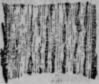 The Structure Of The Hair Continued 479