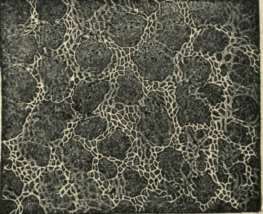 AIR CELLS AND CAPILLARIES OF A HUMAN LUNG (MAGNIFIED).