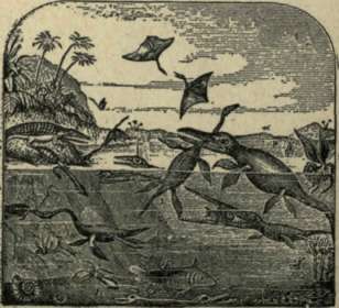 THE AGE OF REPTILES..