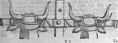working oxen