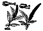 Description images/pp0070 1