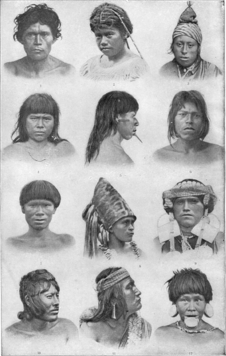 Description images/pp0078 1