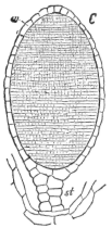 Description images/pp0099 1