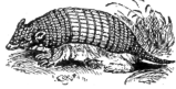 Description images/pp0125 1