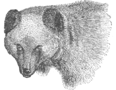Description images/pp0215 1