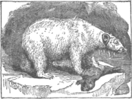 Description images/pp0216 1
