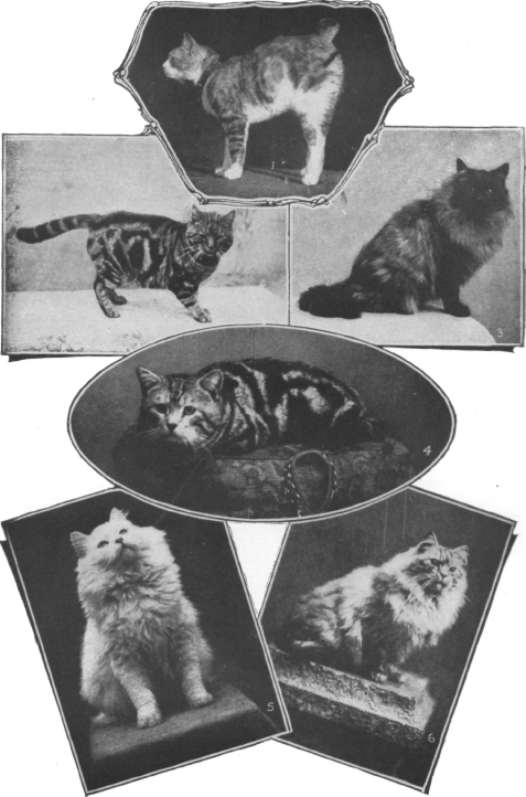 Description images/pp0388 1