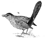 Description images/pp0389 1
