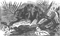 Description images/pp0404 1