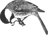 Description images/pp0422 1