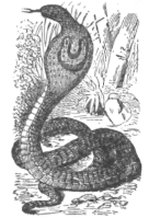 Description images/pp0457 1
