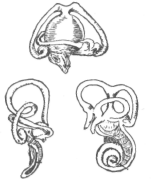 Description images/pp0018 2