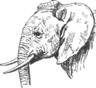 Description images/pp0052 1