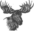 Description images/pp0056 1