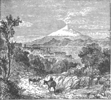 Description images/pp0077 1