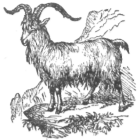 Description images/pp0231 1