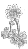 Description images/pp0322 2