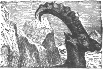 Description images/pp0377 1