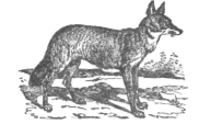 Description images/pp0422 2