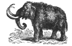 Description images/pp0032 1