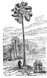 Description images/pp0304 1