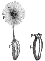 Description images/pp0311 1