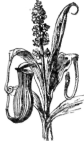 Description images/pp0392 1
