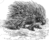 Description images/pp0429 2