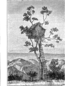 Description images/pp0250 1