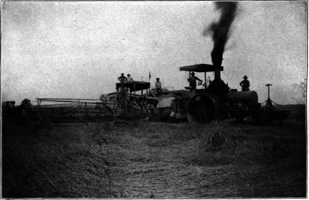 A modern combined reaper and thresher, drawn by a traction
engine