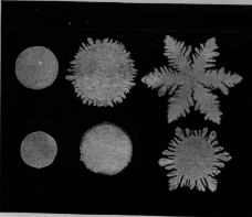 Development Of Ice Crystal From Small Round To Lace-Like Form
