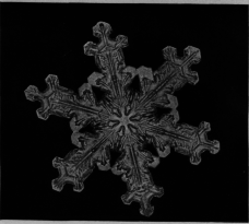 Elaborately
Etched Design