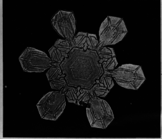 Prism-Like Crystal From High Altitude