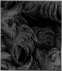 Scroll
Frostwork On Window
